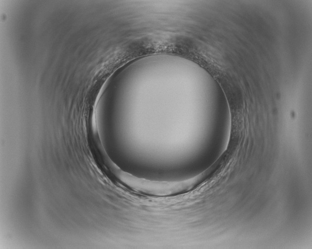 X0000059230039200510141048