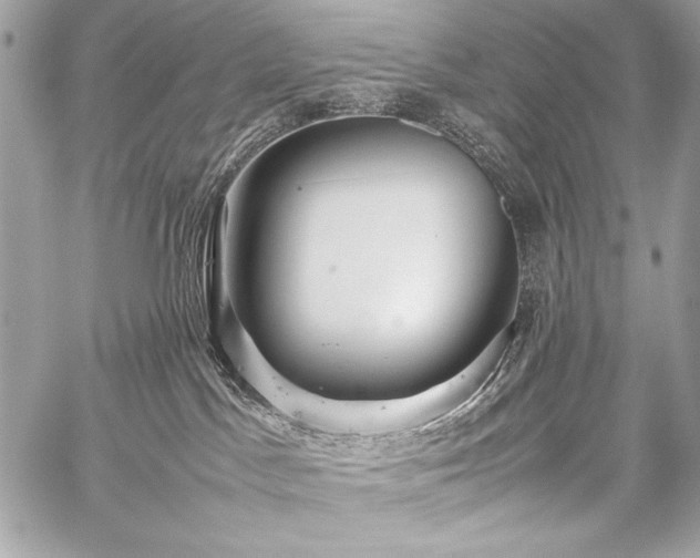 X0000059230045200510141048