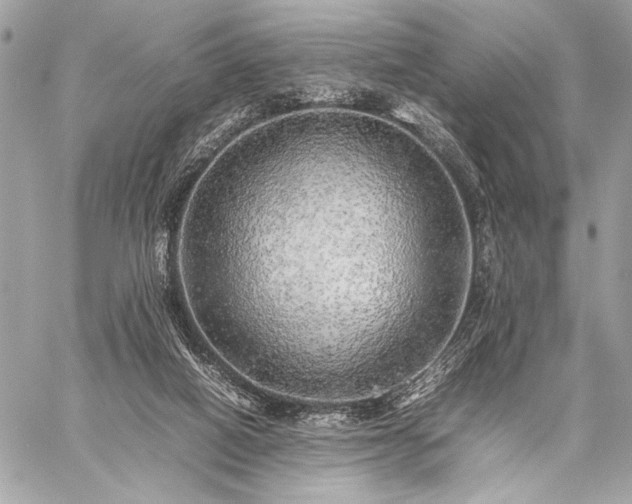 X0000059230066200510141048