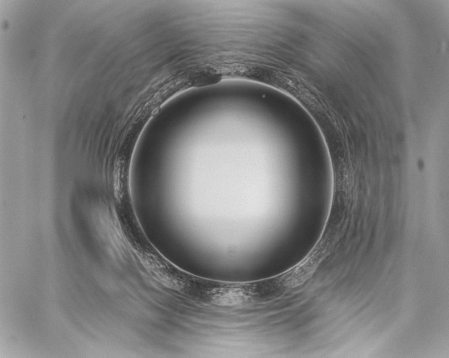 X0000059230074200510141048