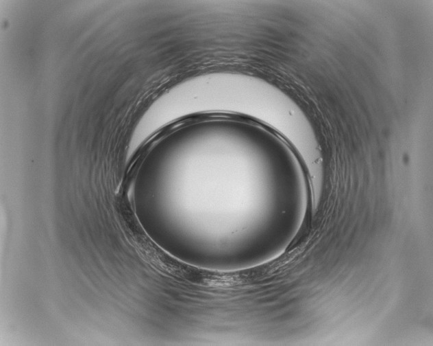 X0000059230079200510141048
