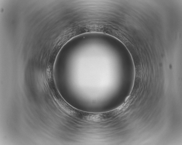 X0000059230086200510141048