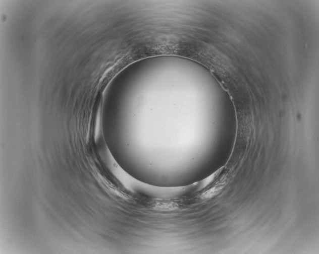 X0000059230088200510141048
