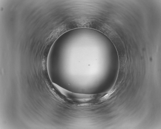 X0000059230090200510141048