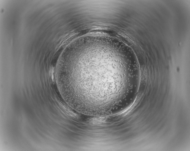 X0000059230094200510141048