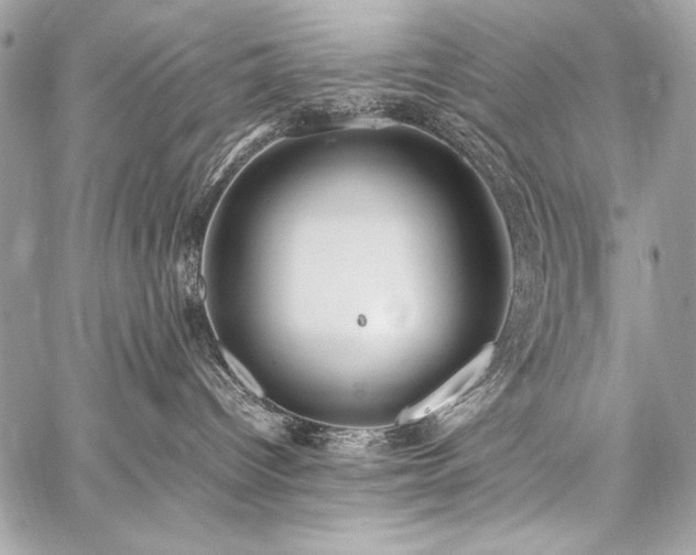 X0000059230096200510141048