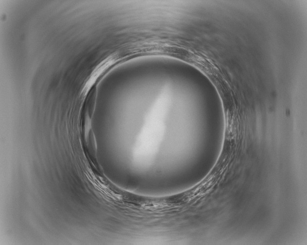 X0000059230099200510141048