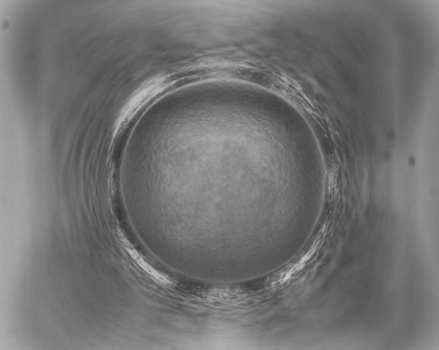 X0000059230101200510141047
