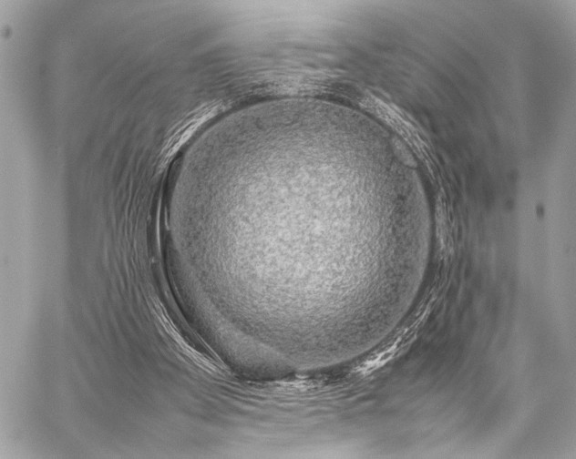 X0000059230105200510141047