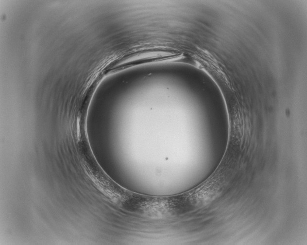 X0000059230110200510141047