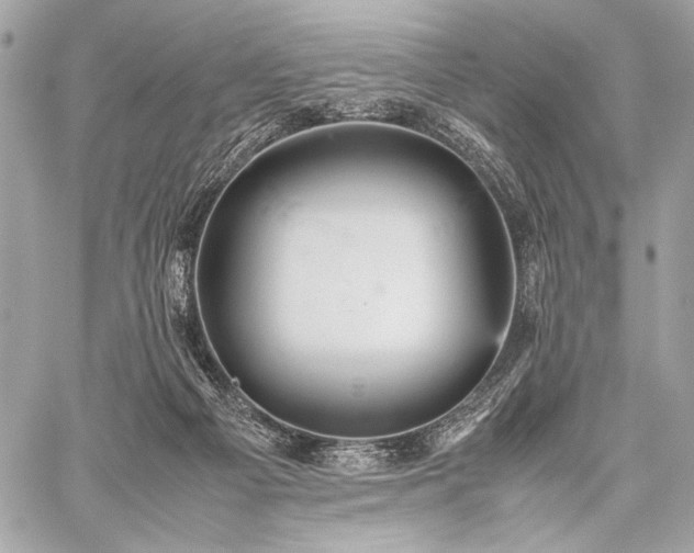 X0000059230121200510141047