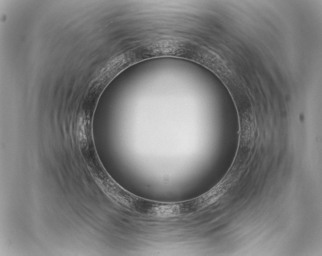 X0000059230126200510141047