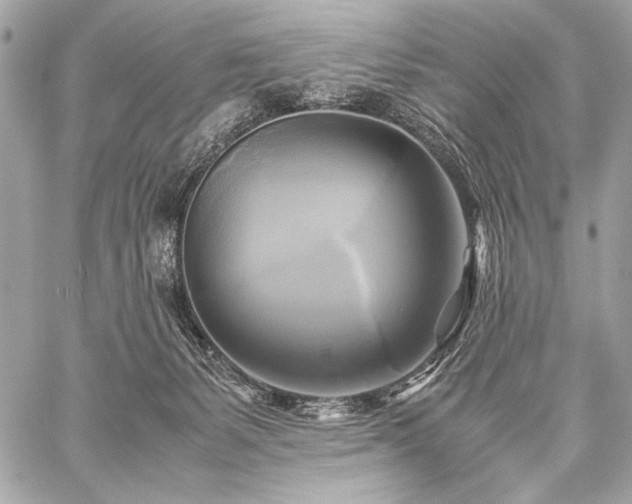 X0000059230127200510141047