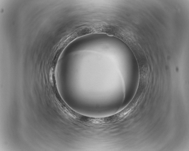 X0000059230139200510141047