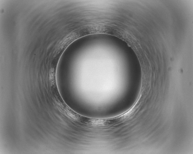 X0000059230144200510141047