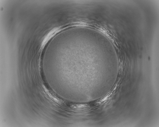 X0000059230151200510141046