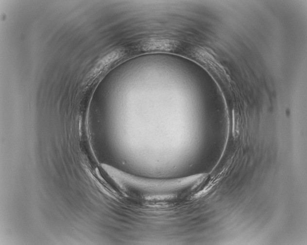 X0000059230157200510141046