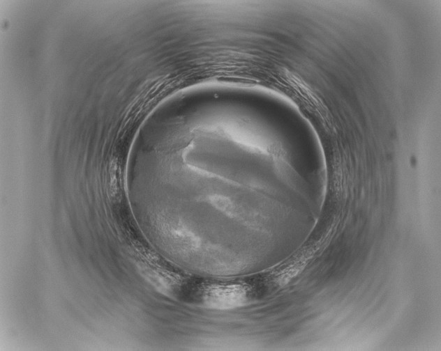 X0000059230169200510141046