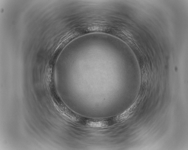 X0000059230171200510141046