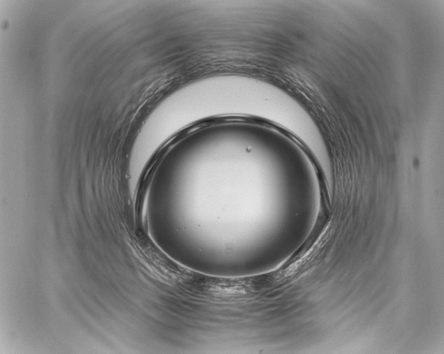 X0000059230175200510141046