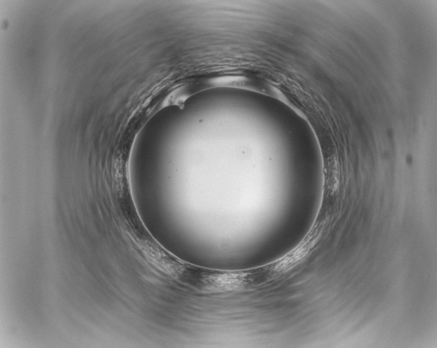 X0000059230184200510141047