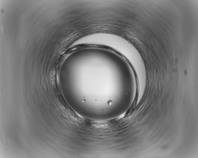 X0000059230189200510141047