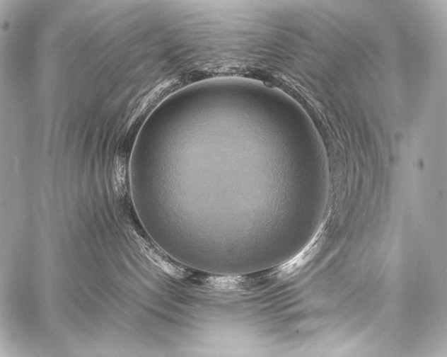 X0000059230192200510141047