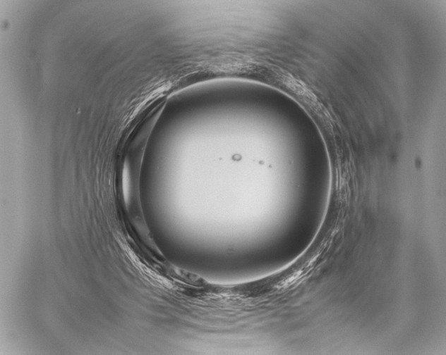 X0000059230201200510141046