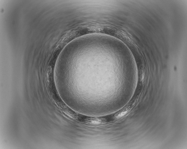 X0000059230229200510141045