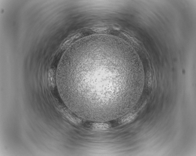 X0000059230234200510141045
