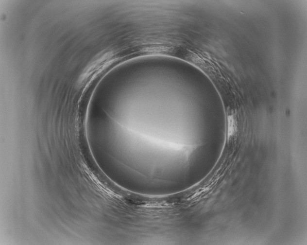 X0000059230243200510141044