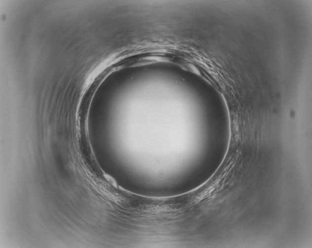 X0000059230246200510141045