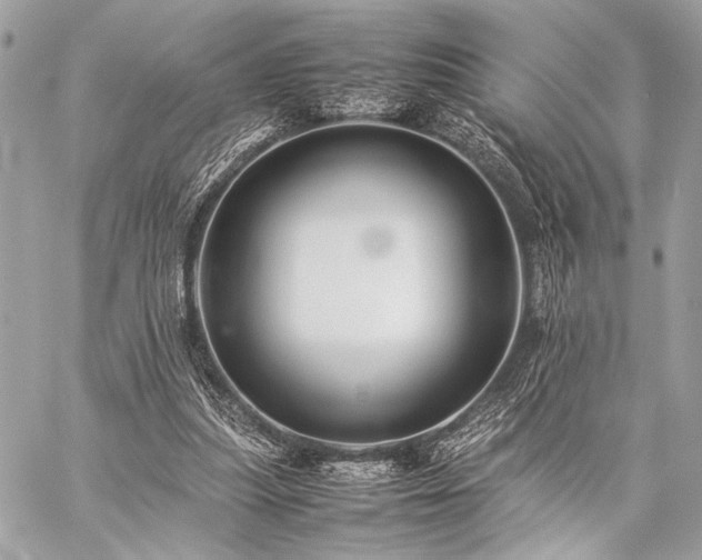 X0000059230251200510141045