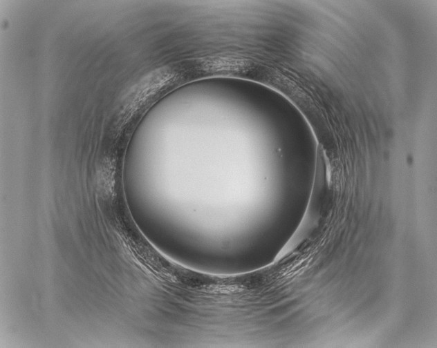 X0000059230255200510141045