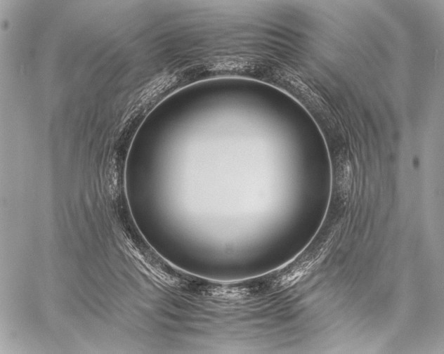 X0000059230261200510141045