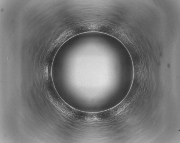X0000059230262200510141045