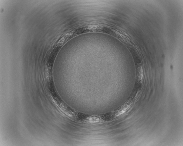 X0000059230272200510141045