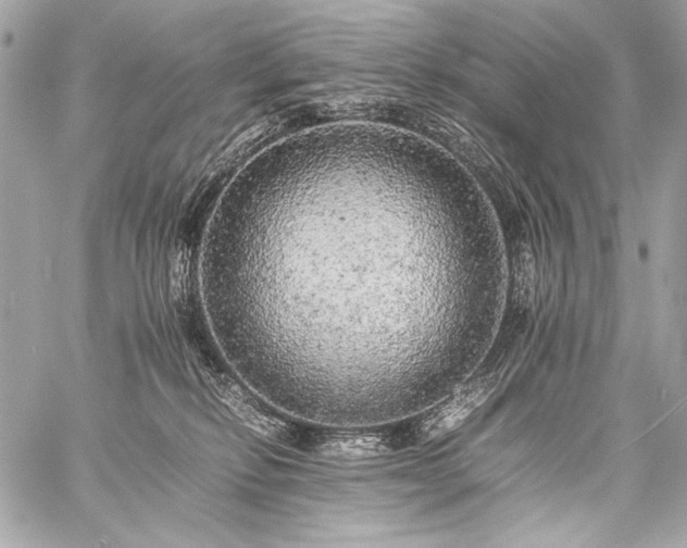 X0000059230278200510141045