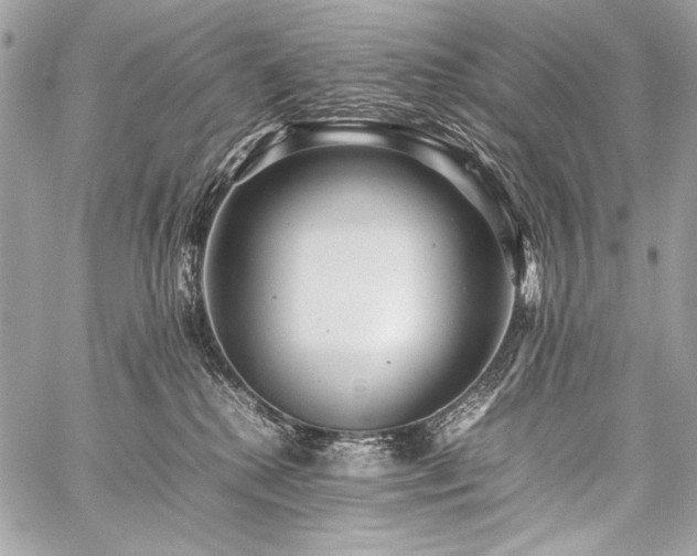 X0000059230280200510141045