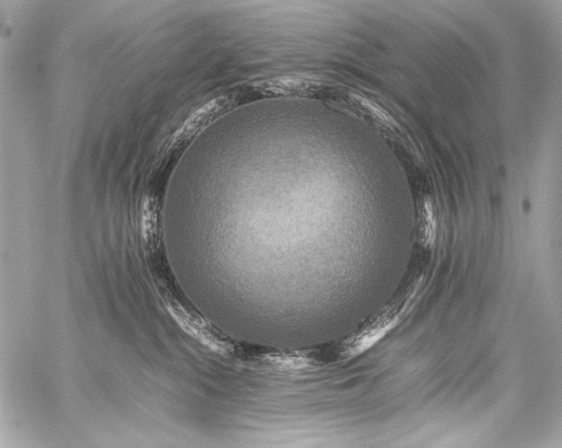 X0000059230284200510141045