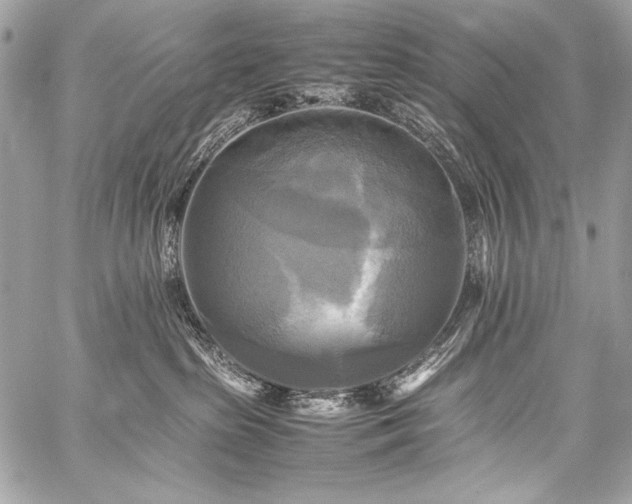 X0000059230285200510141045