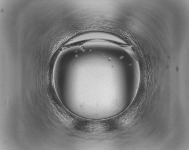 X0000059230299200510141044