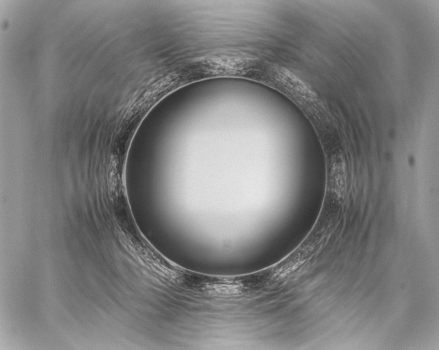X0000059230318200510141044