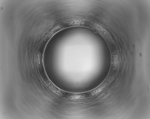 X0000059230326200510141044