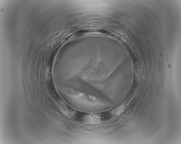 X0000059230327200510141044
