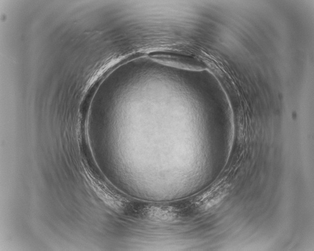 X0000059230346200510141043