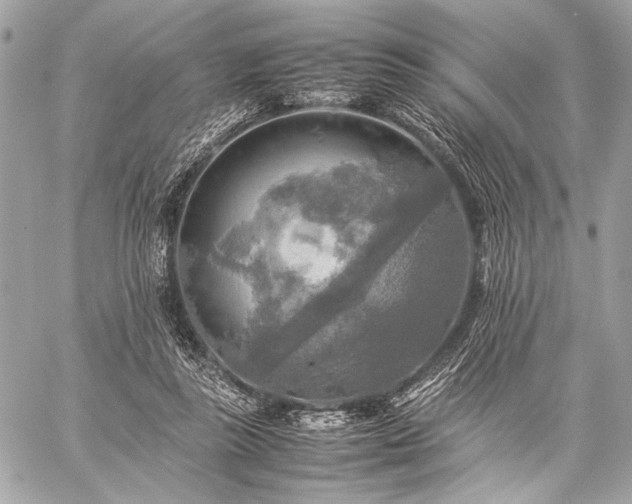 X0000059230355200510141043