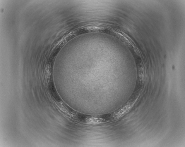 X0000059230372200510141043