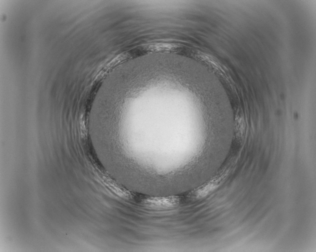 X0000059230381200510141044
