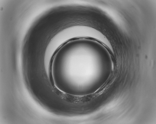X0000059230383200510141044